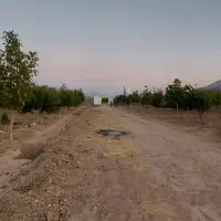 فروش باغ ثمری حسن آباد سنجرلو