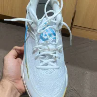 کتونی والیبال جیانیس ۴ سایز ۴۵|کیف، کفش، کمربند|چمستان, |دیوار