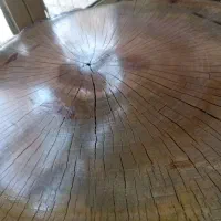 میز عسلی و جلو مبلی