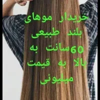 موهای خود را بدون واسطه به خریدار اصلی بفروشید