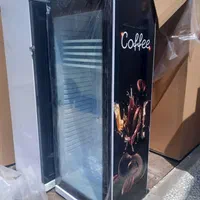 یخچال تیودنت ایستاده/فریزر پوکر بستنی/صندوقی تورین