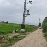 زمین کشاورزی دابودشت مازندران حقابه برق|فروش دفتر صنعتی، کشاورزی، تجاری|دابودشت, |دیوار