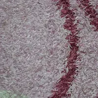 دو تخته فرش اتاق کودک|فرش|گرمسار, |دیوار
