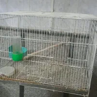 قفس پرنده