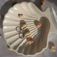 صدفی ترین گوشواره|بدلیجات|اصفهان, دهنو|دیوار