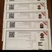 صدور جواز کسب چک دار و ضمانتی