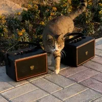 تخفیفات ویژه محصولات جانبی اپیمکس