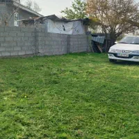 فروش زمین ۵۰۰ متری کاملن مسکونی|فروش زمین و ملک کلنگی|شاندرمن, |دیوار