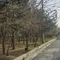 واحد های لوکس شهرک امام رضا|فروش آپارتمان|اشتهارد, |دیوار