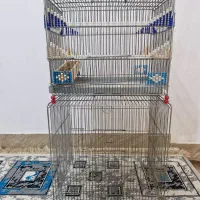 دوقفس سهره