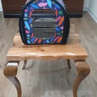 کیف حمل پرنده