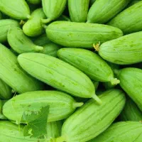 تل میانه. کالک