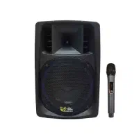 اکو همراه پرتابل شارژی برین صوت