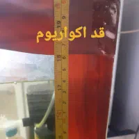 اکواریوم همراه با ماهی لوازم