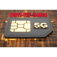 0911-117-3484
