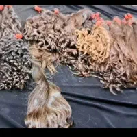 خریدار اصلی صادر کننده مو در ایلام و کل شهرها