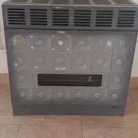 بخاری ۳۰ هزار سالم آلیش