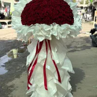 دسته گل ،باکس گل،سبد گل تاج گل ماشین عروس دسته گل|گل و گیاه طبیعی|تهران, آهنگ|دیوار