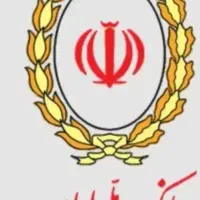 ضامن میشم چک دارم