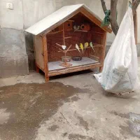 قفس چوبی برای پرنده