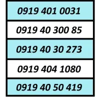 0919.4400.507|سیم‌کارت|تهران, شهرک چیتگر|دیوار