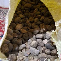 عنبرنسا ، عنبرنسارا