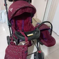 کالسکه دلیجان  (درحد نو )