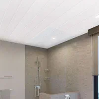 نصاب سقف کاذب