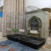 قفس پرنده کاسکویی سایز بزرگ سقف بازشو