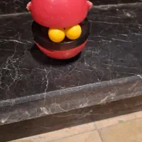 لوازم جانبی سگ