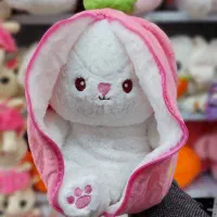 عروسک پولیشی عمده|اسباب‌‌بازی|قم, زاویه|دیوار