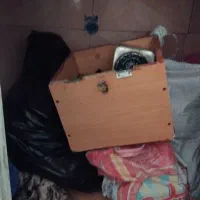 ابزارآلات. وسایل موتور.  پیچ مهره.