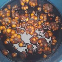 سیر ترشی|خوردنی و آشامیدنی|اهواز, سپیدار|دیوار