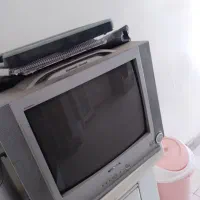 تلوزیون