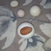 سنگ آسیاب وغیره...|جواهرات|یزد, |دیوار