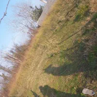 زمین مسکونی متراژ 1/360متر کل مسکونی