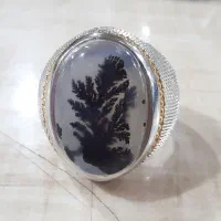 شجر قائنات بی همتا|جواهرات|مراغه, |دیوار