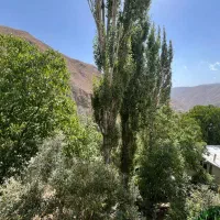 آپارتمان 75 متری شمشک /اوشان ویلا
