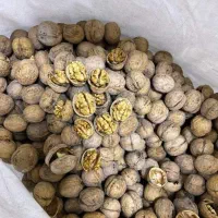 بادام سنگی ومغز فسنجانی و سفید|حراج|کرمانشاه, |دیوار