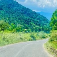 326مترزمین کوهپایه جنگلی روارتفاع مجوزساخت ویوبکر