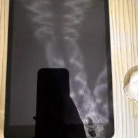 iPad mini 2