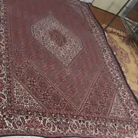 ۶متری|فرش|زنجان, |دیوار