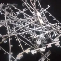 رگال وشادی دیوار