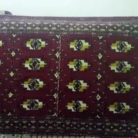 چهار جفت پشنی سنتی سالم