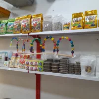 ملزومات پرنده