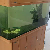 آکواریوم چینی با لوازم و ماهی