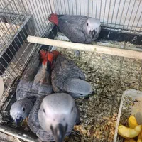 دنیای کاسکو نسبت به نیاز شما