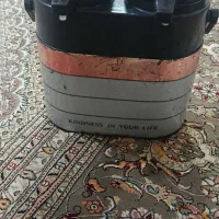 فلاکس دوقلو سالم