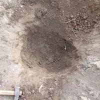 باغبان|خدمات باغبانی و درختکاری|تبریز, |دیوار