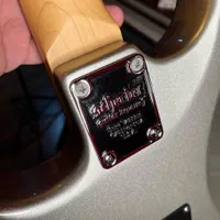 گیتار الکتریک شکتر schecter nick johnston|گیتار، بیس، امپلیفایر|تهران, امیرآباد|دیوار